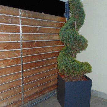 Promax - Serramenti e carpenteria - DSC00012